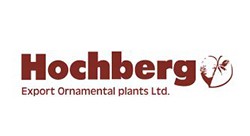 Hochberg Ltd