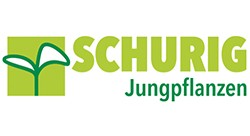 Schurig Jungpflanzen