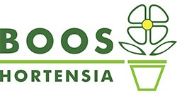 BOOS HORTENSIA
