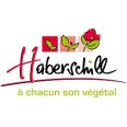 HABERSCHILL VEGETAL