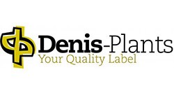 Denis Plants