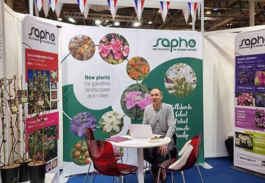 SAPHO at IPM ESSEN 2024