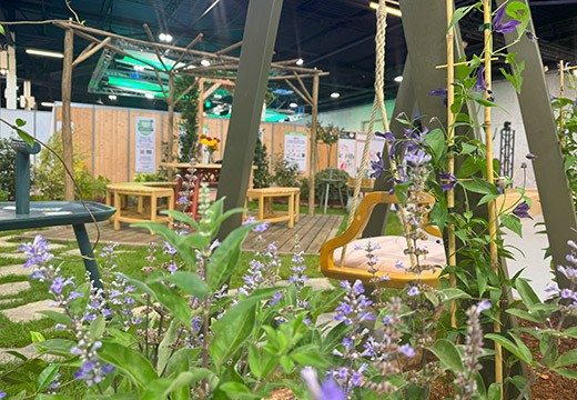 Happiness is in the garden: the magical power of plants!
